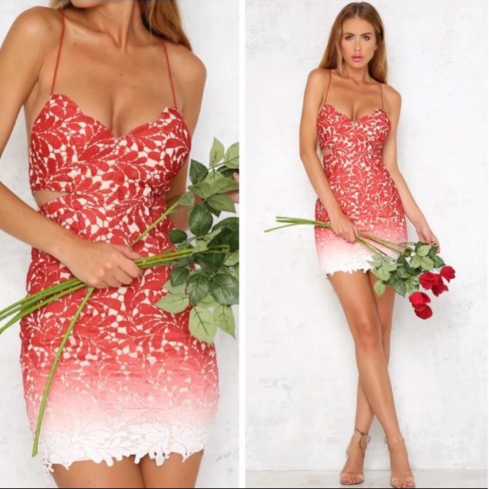 Ombré lace dress
